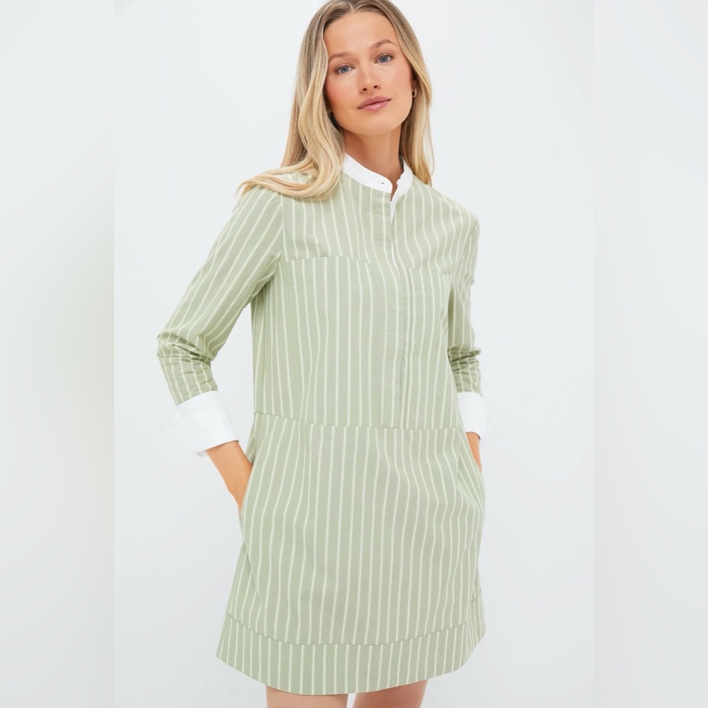 Tuckernuck Green and White Striped Shirt Dress